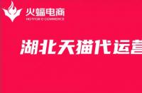 天貓店一年運(yùn)營(yíng)費(fèi)用